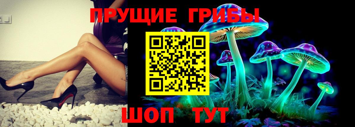 Ступино  Галлюциногенные грибы MAGIC MUSHROOMS  Галлюциногенные грибы Psilocybe  Вход с VPN 